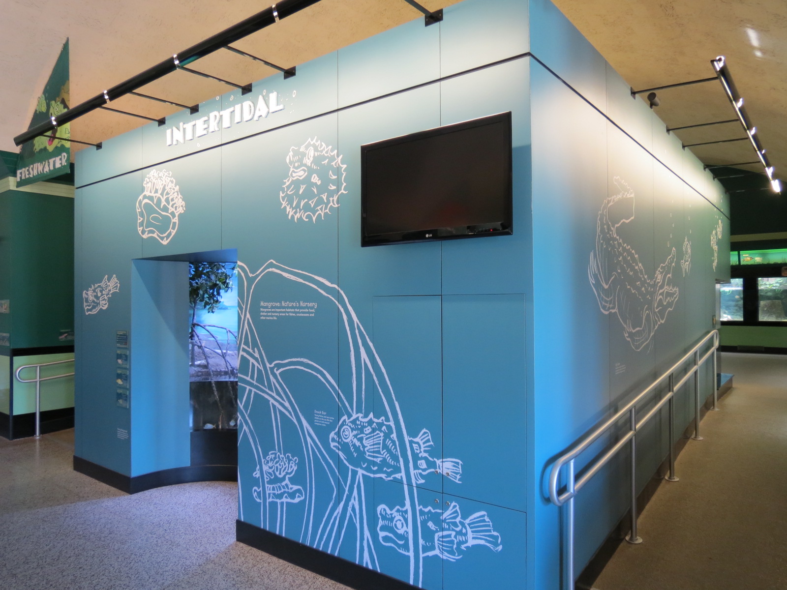 Intertidal Zone with Mangrove Exhibit