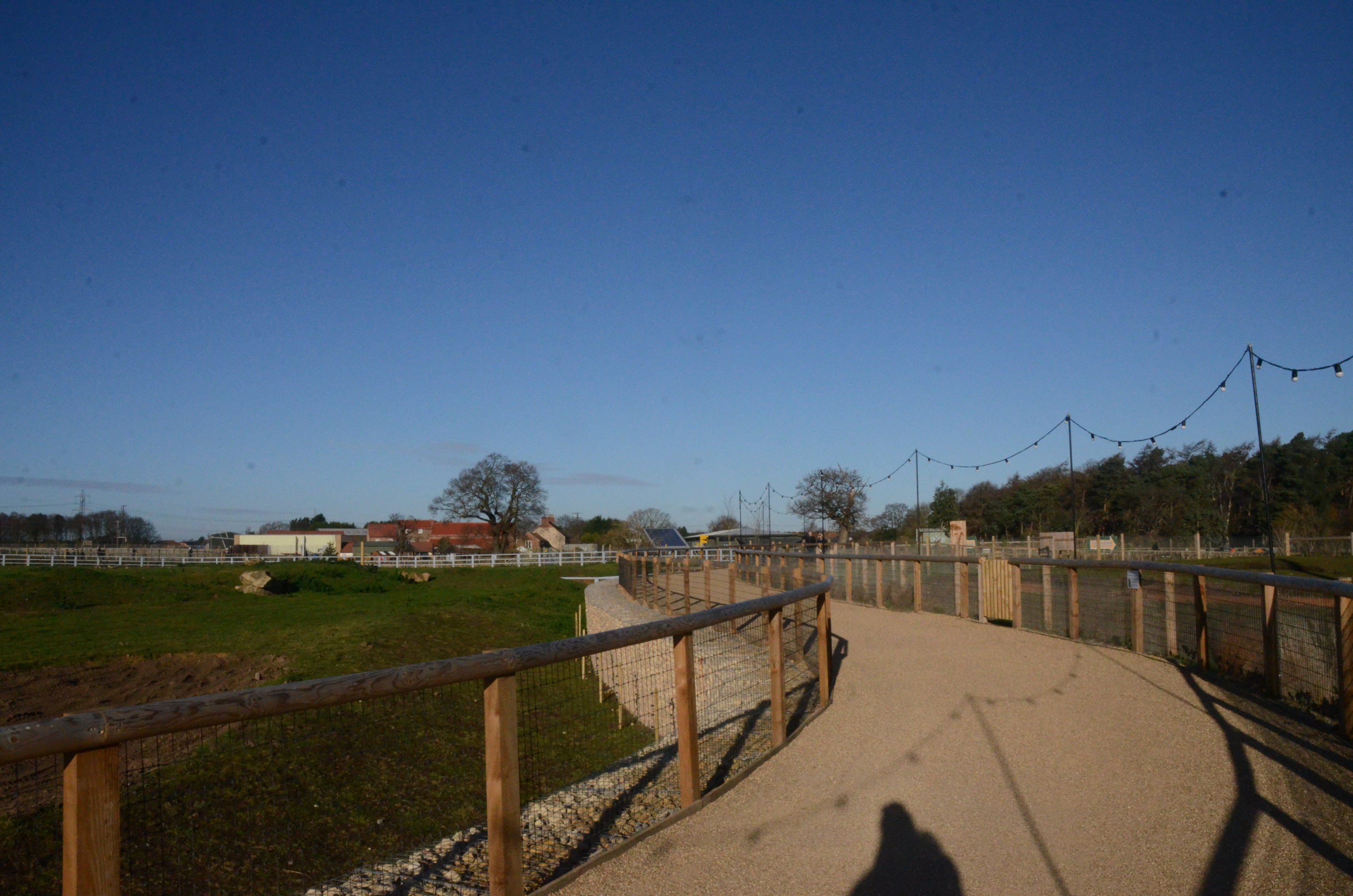 Into Africa at Yorkshire WP, 14/01/17