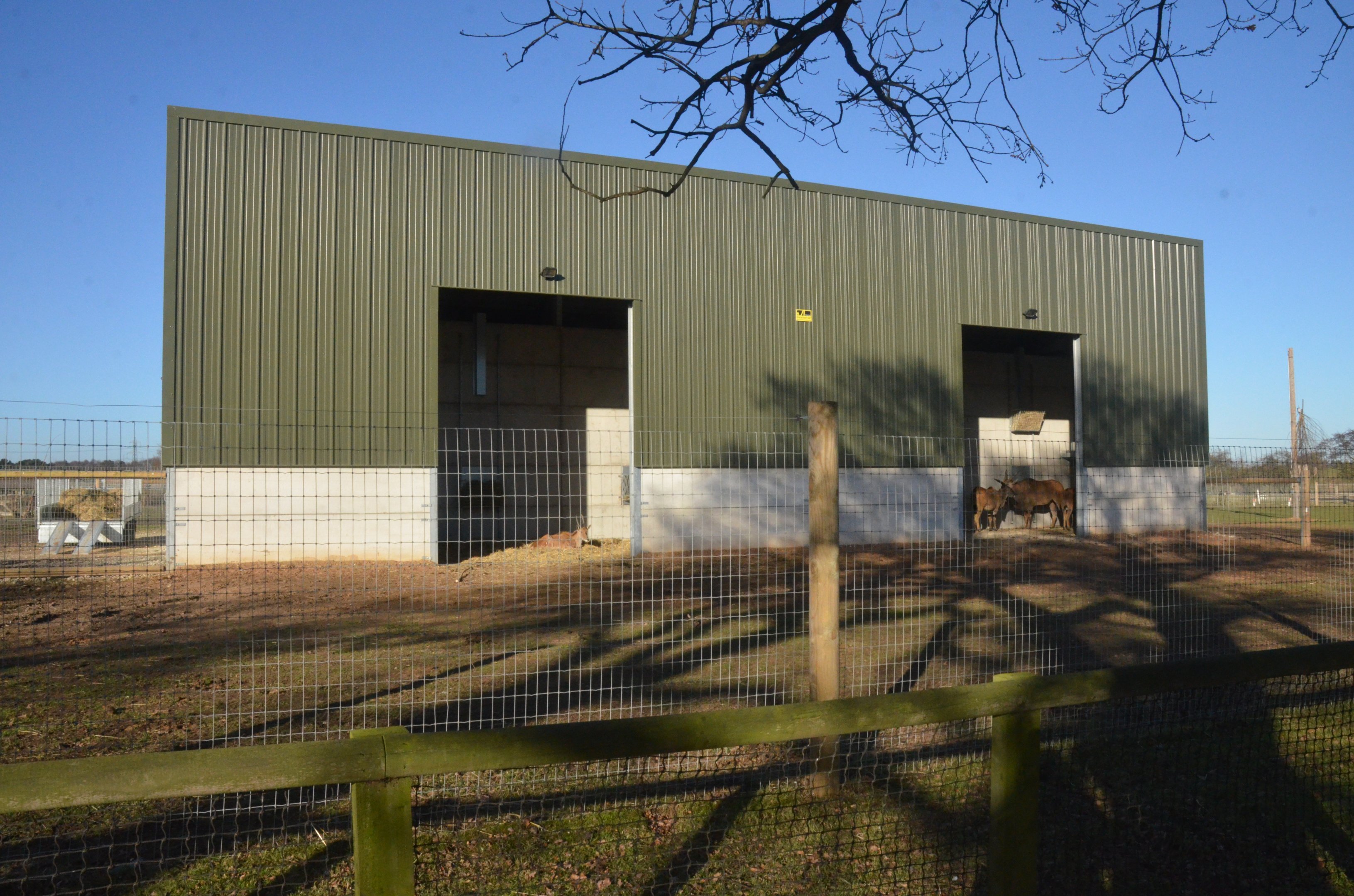 Into Africa at Yorkshire WP, 14/01/17