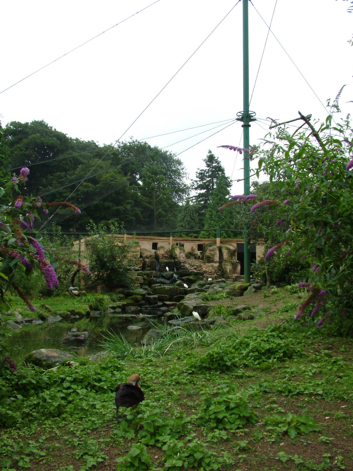 Into Africa aviary at Lotherton Hall 01/08/09
