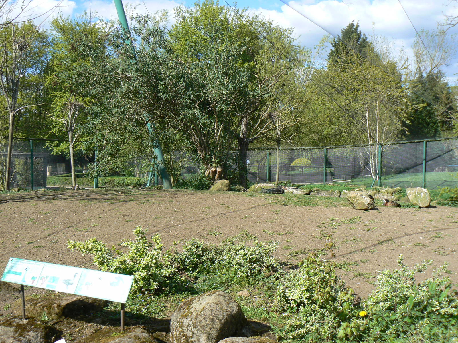 Into Africa Aviary View