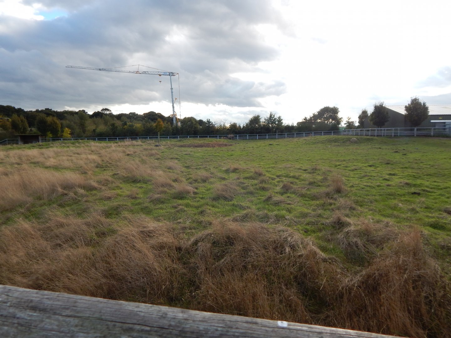 Into Africa - Eastern black rhinoceros habitat 121024