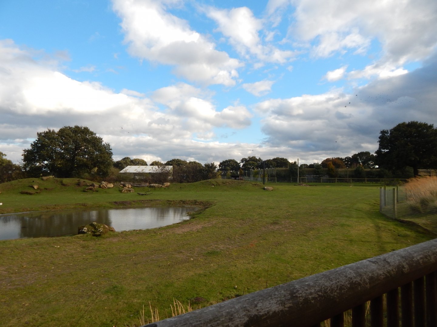 Into Africa - Mixed habitat 121024