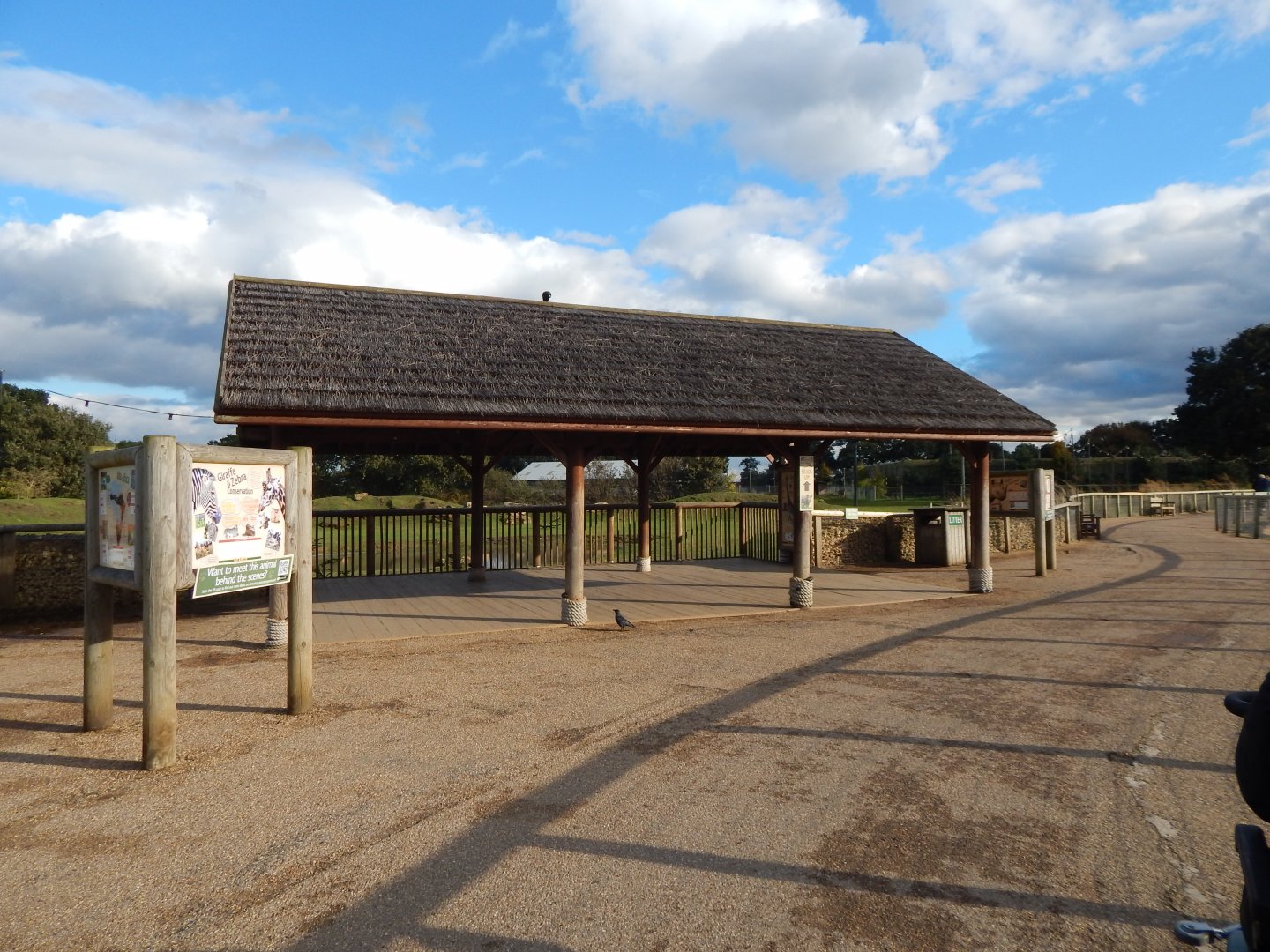 Into Africa - Mixed habitat viewing area 121024
