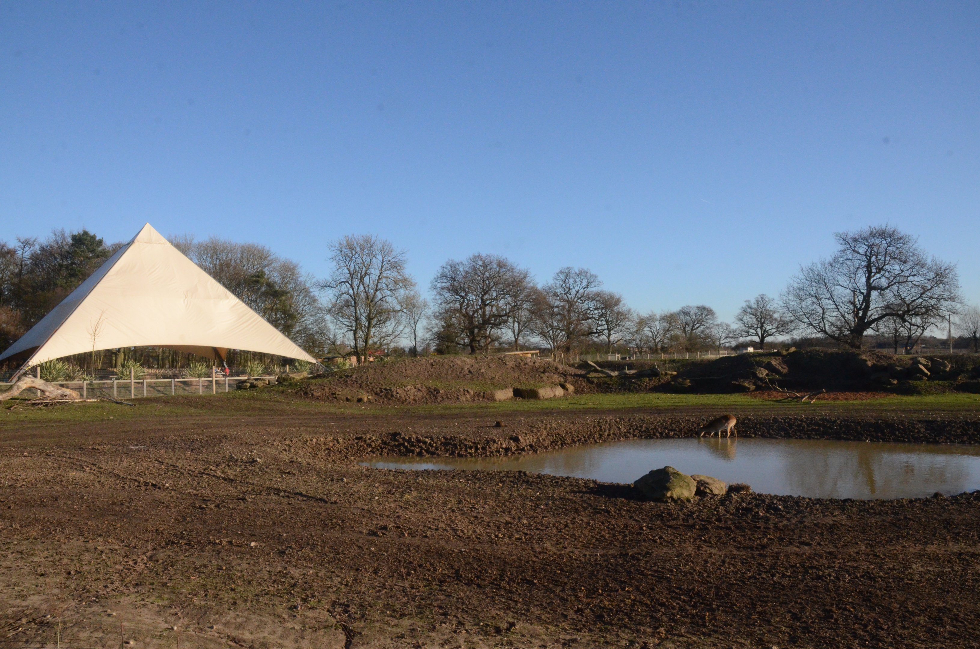 Into Africa (Mixed Paddock) at Yorkshire WP, 14/01/17