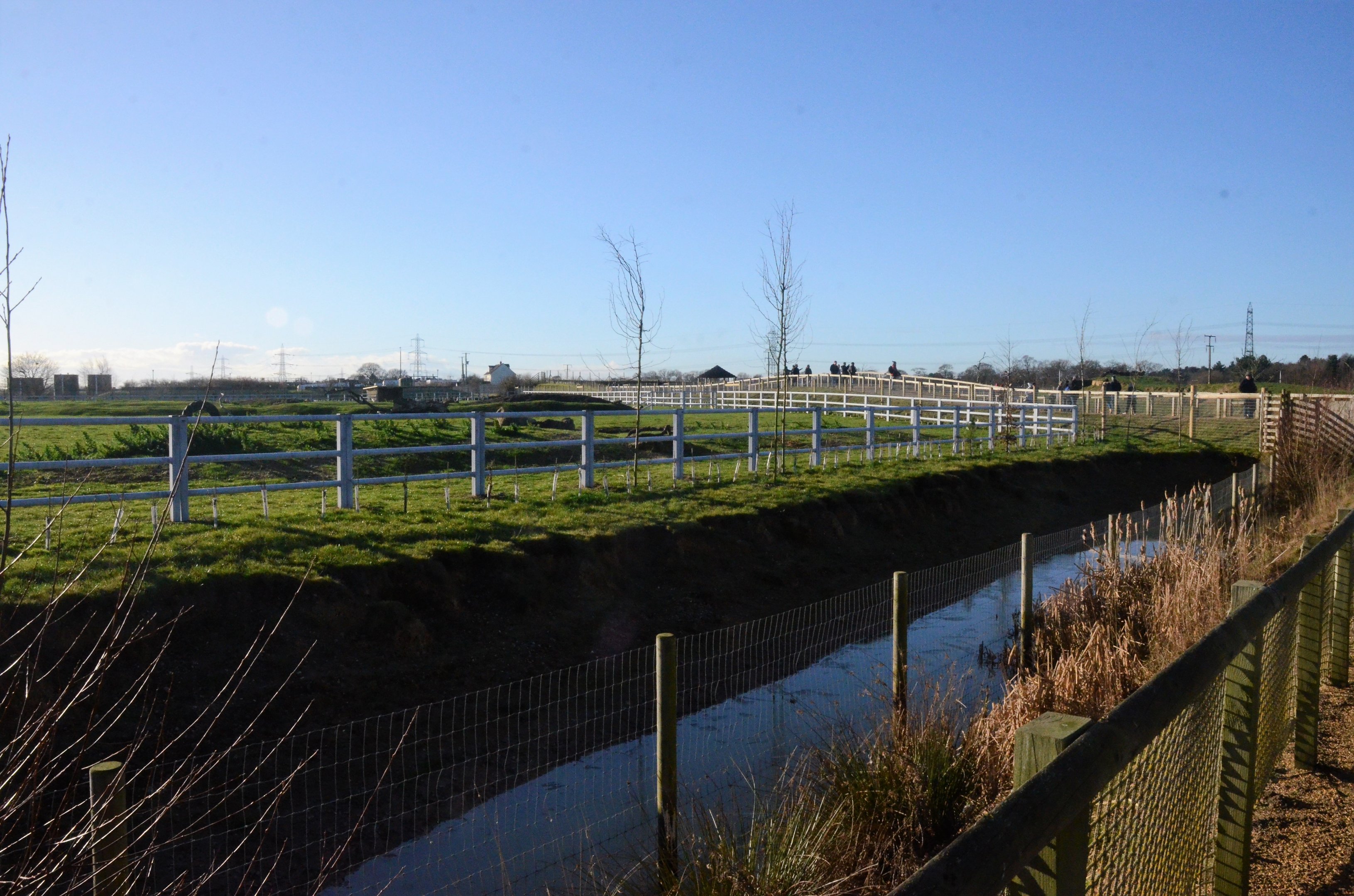 Into Africa Rhino Paddocks at Yorkshire WP, 14/01/17