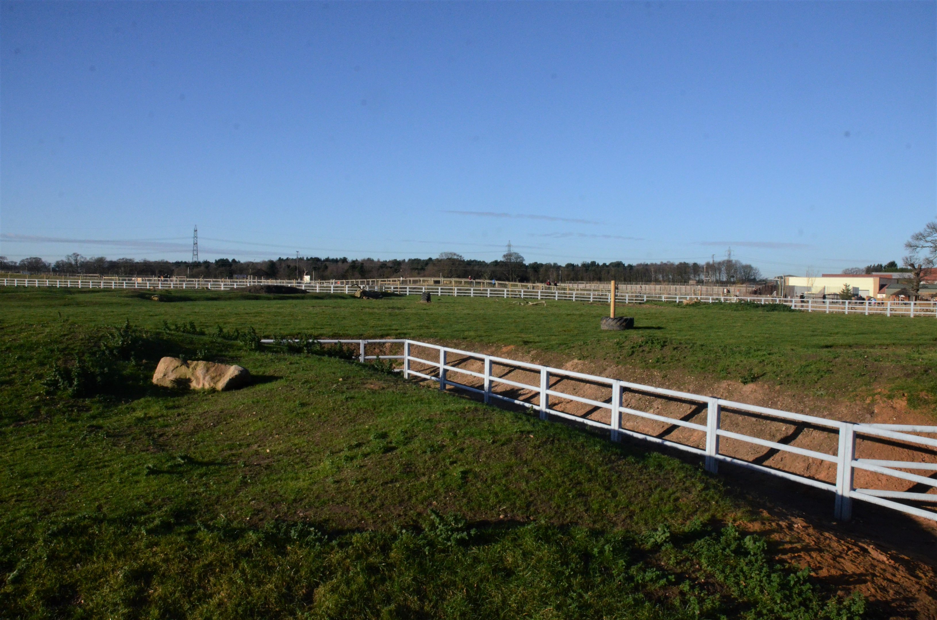 Into Africa Rhino Paddocks at Yorkshire WP, 14/01/17