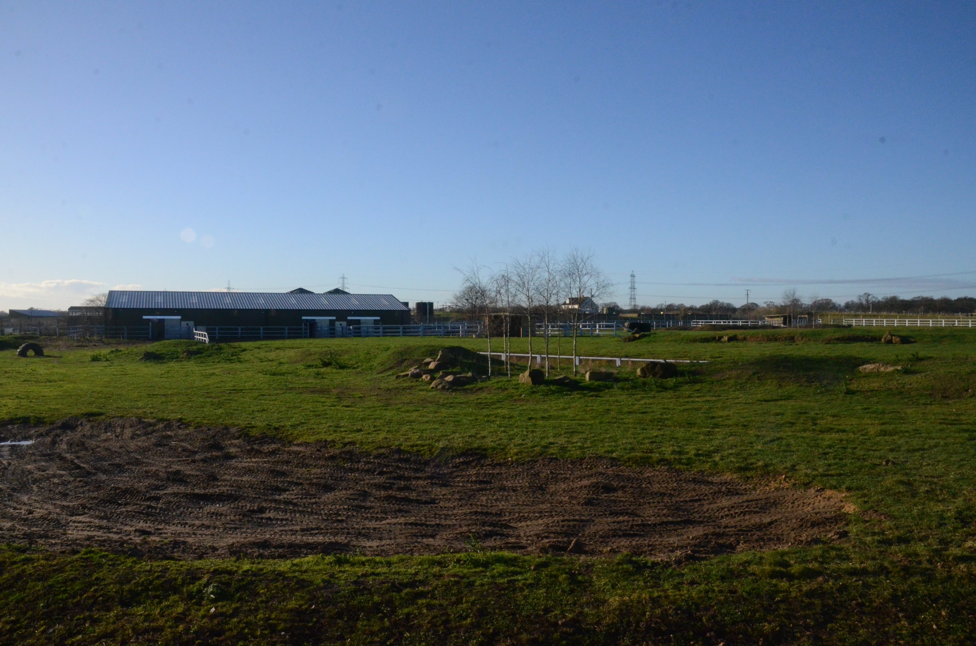 Into Africa Rhino Paddocks at Yorkshire WP, 14/01/17