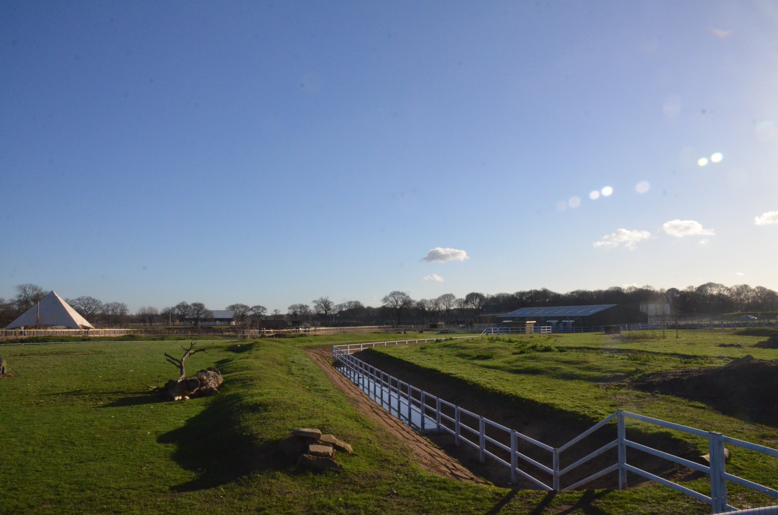 Into Africa Rhino Paddocks at Yorkshire WP, 14/01/17