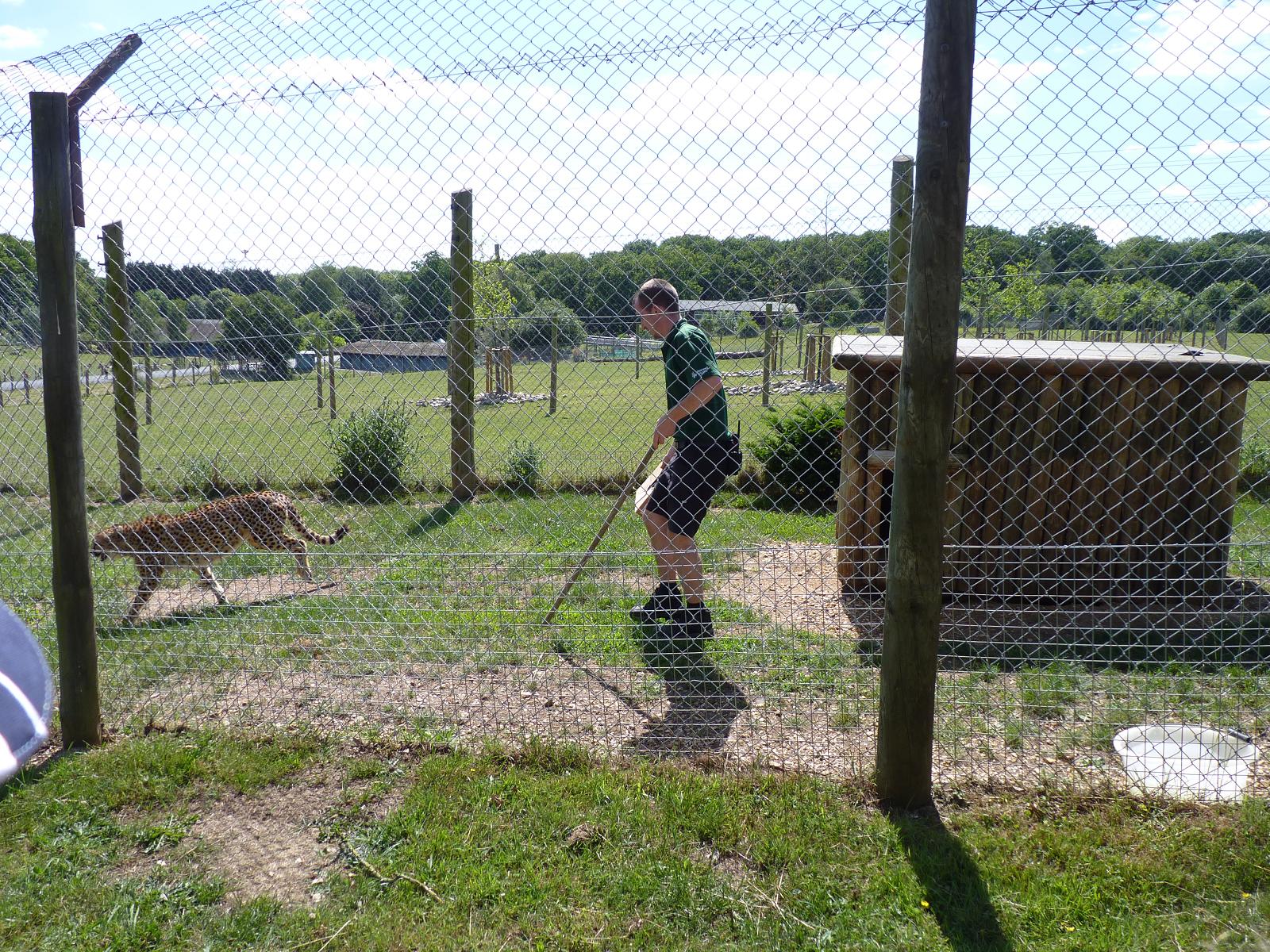 Into the Cheetahs Den