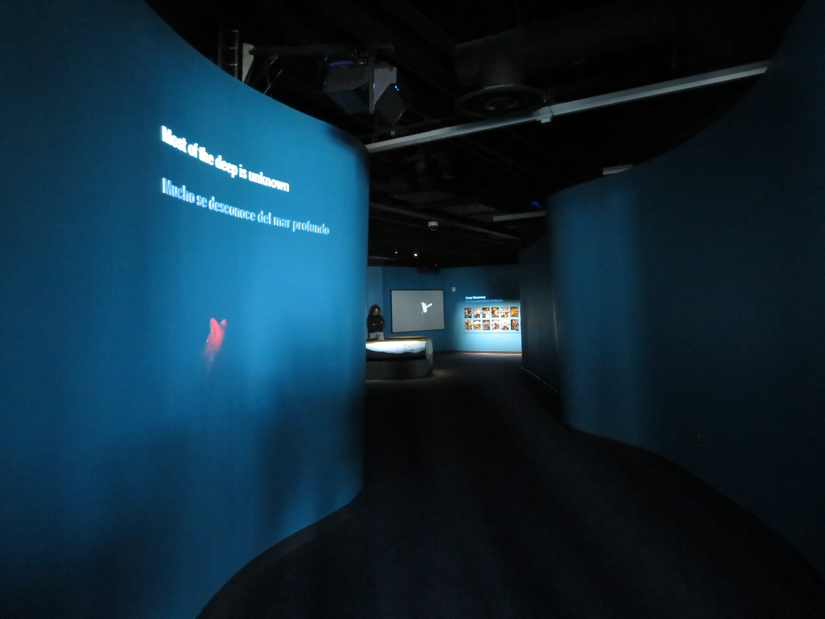 Into the Deep Entrance