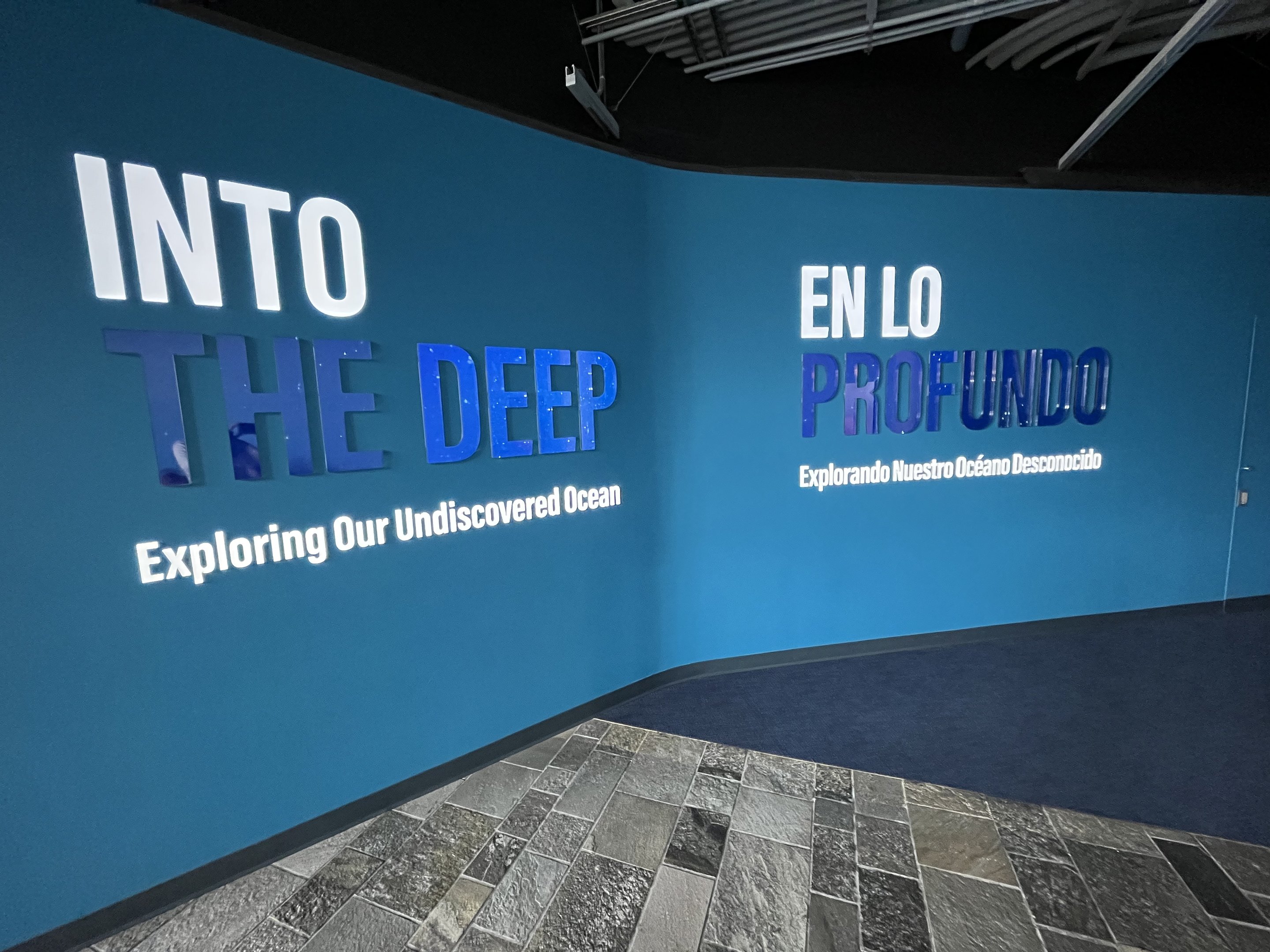 Into the Deep - Entrance