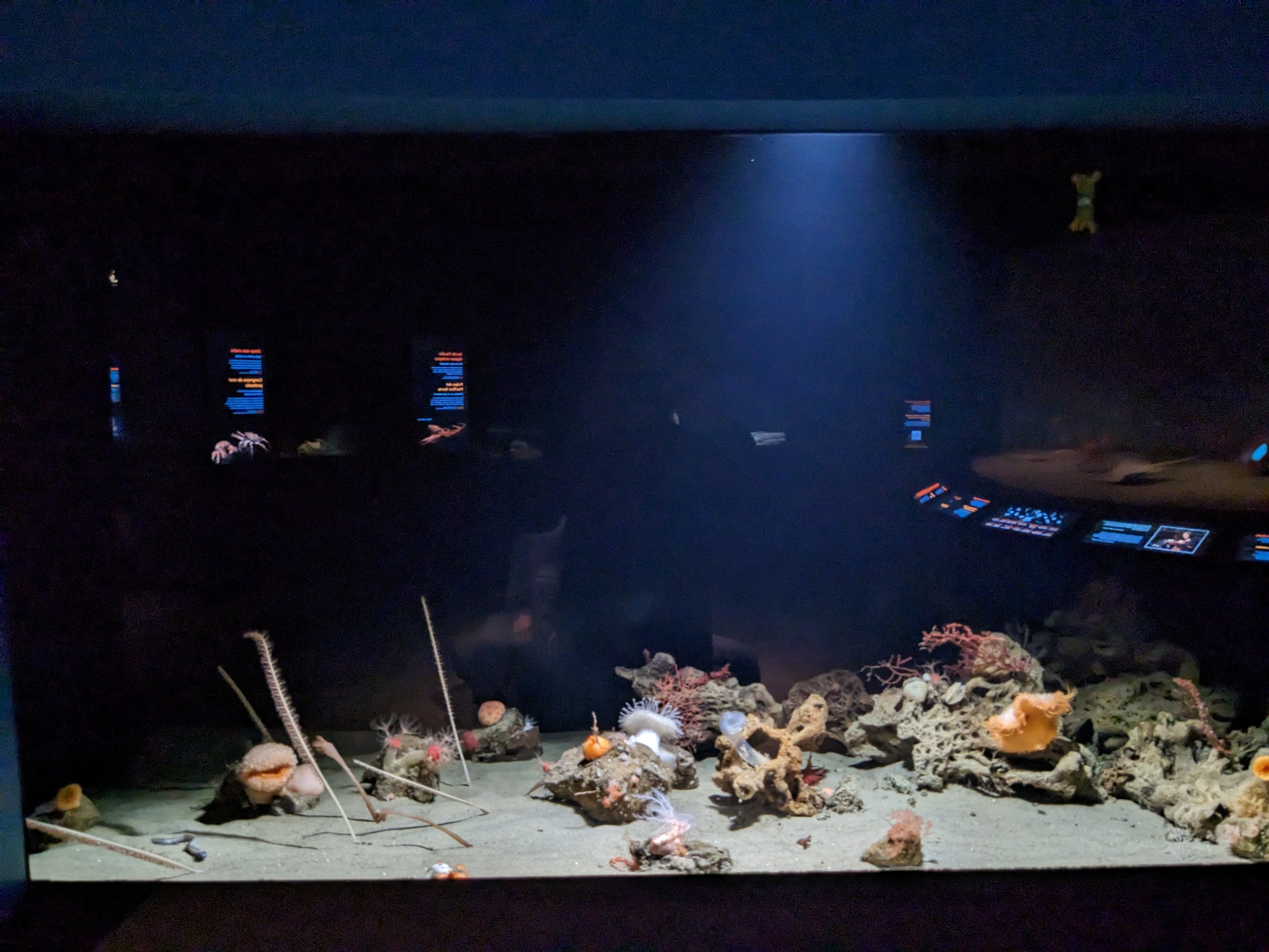 Into the Deep - first large tank