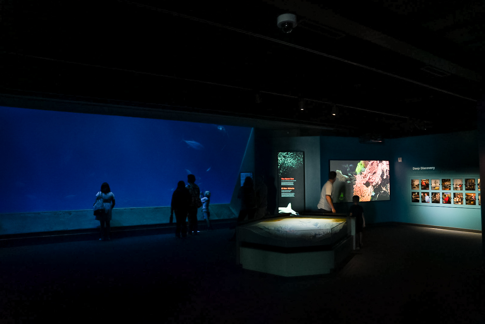 'Into the Deep' gallery entrance