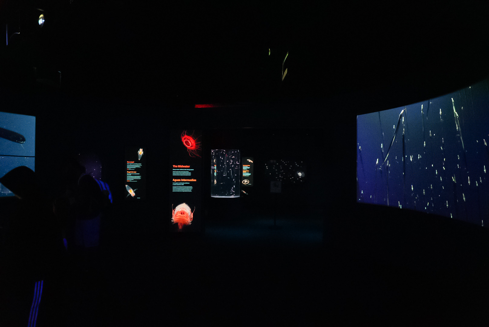 'Into the Deep' Midwater Gallery (entrance)