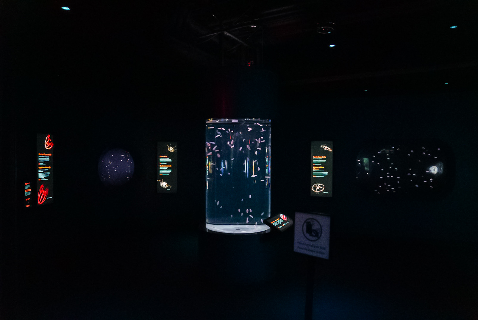 'Into the Deep' Midwater Gallery (left side)