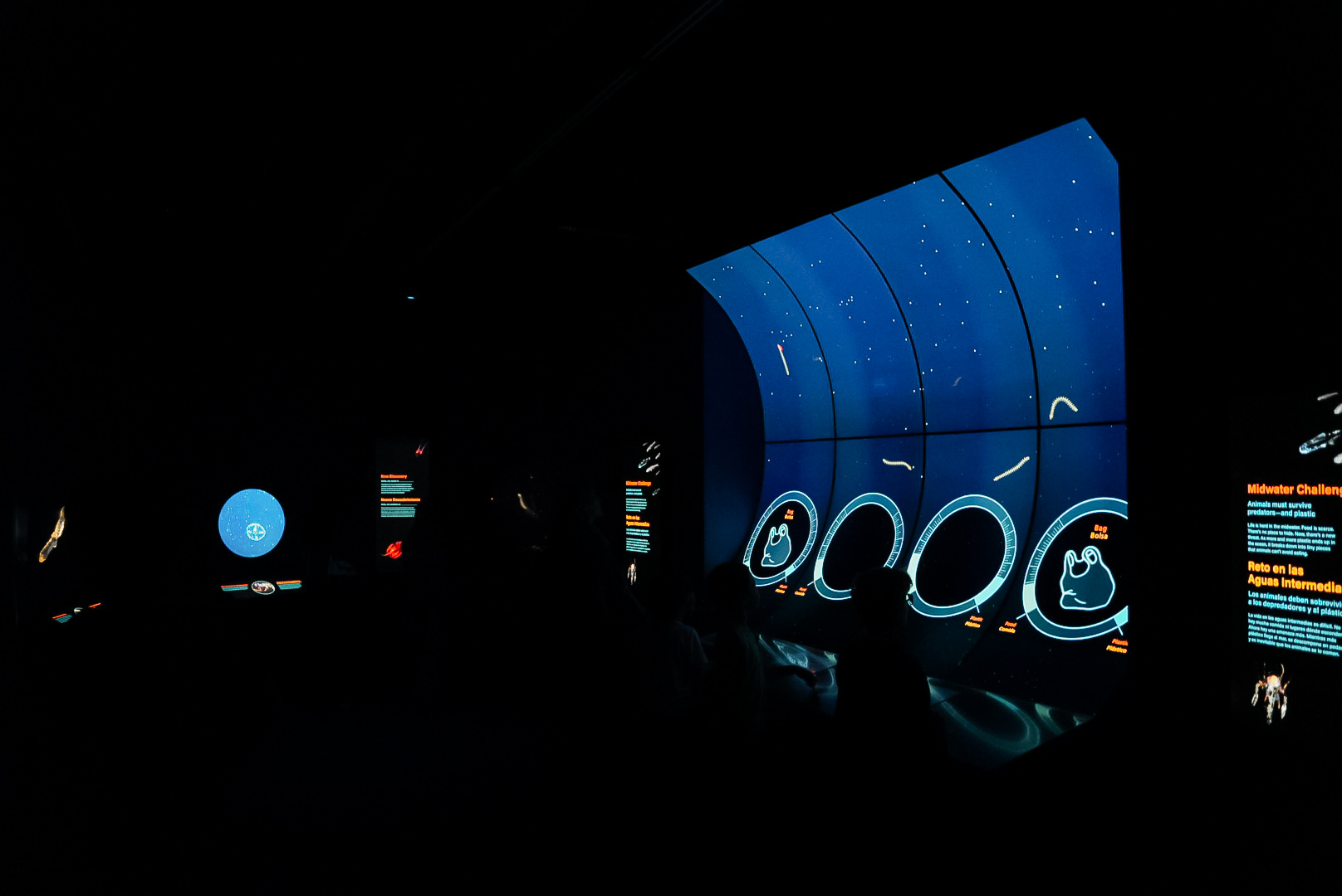 'Into the Deep' Midwater Gallery (right side)