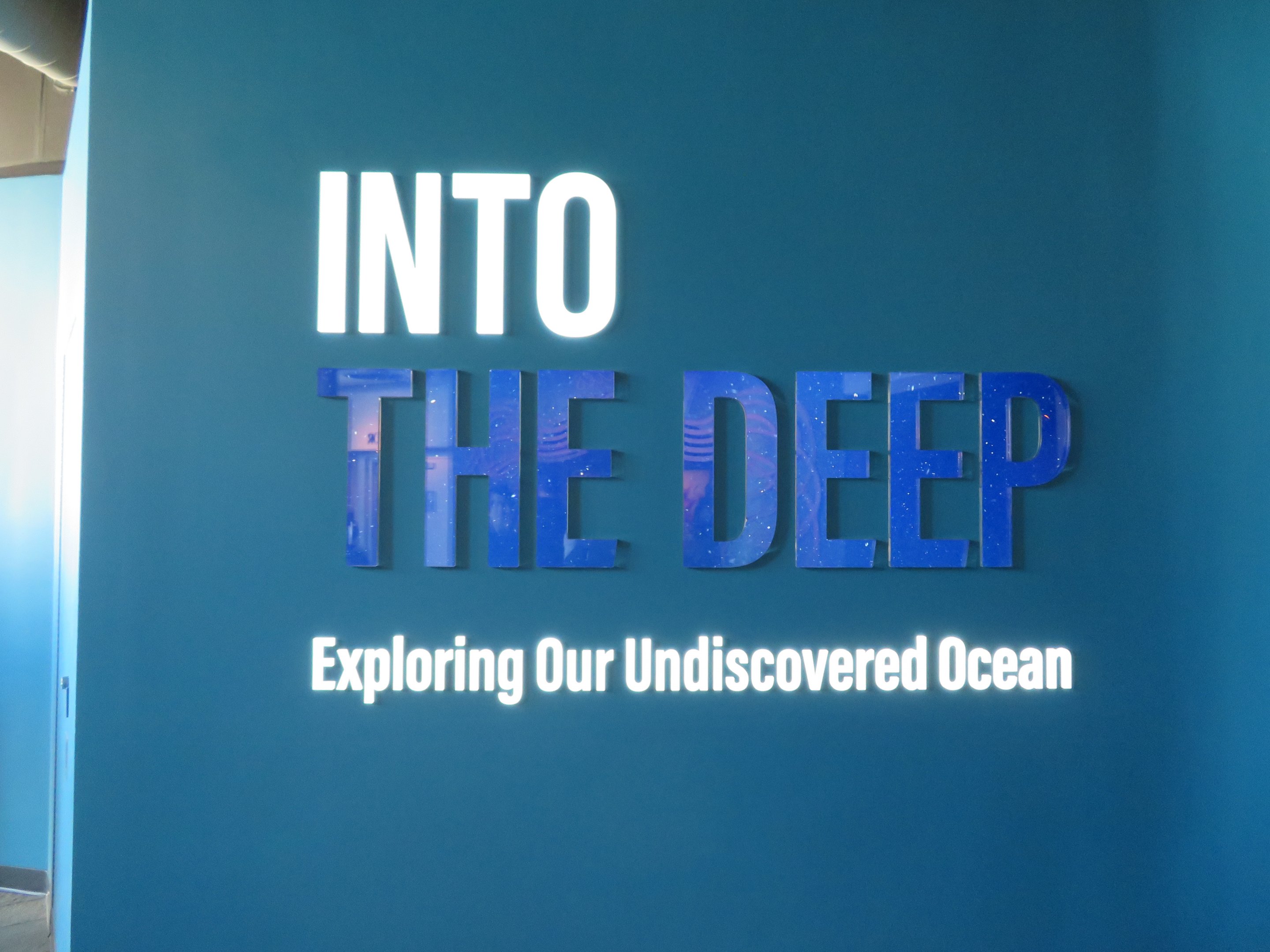 Into The Deep Sign