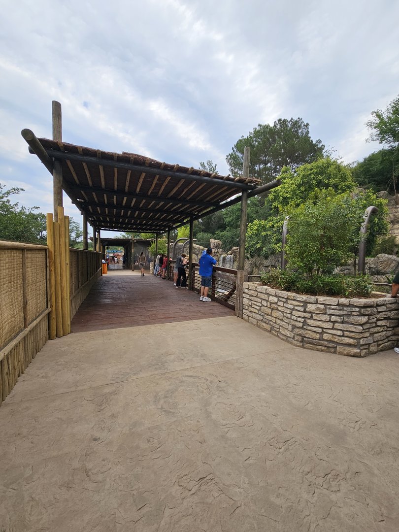 Into the shade and mist