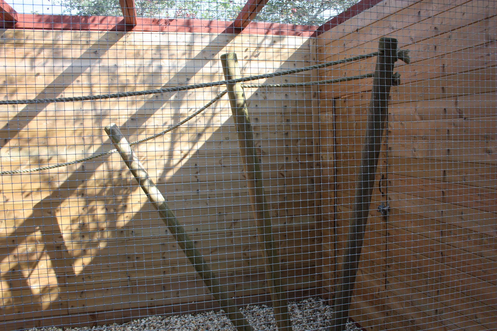 Intrior of new outdoor aviary for Red-billed Toucans, 23rd September 2014