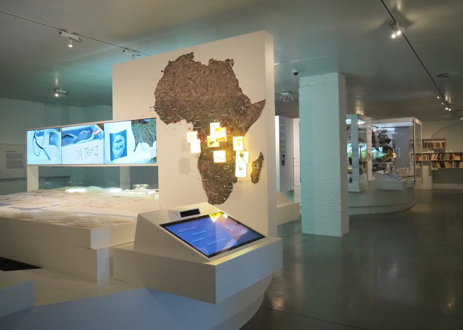 Introductory gallery - Museum in motion, 2021-10-20