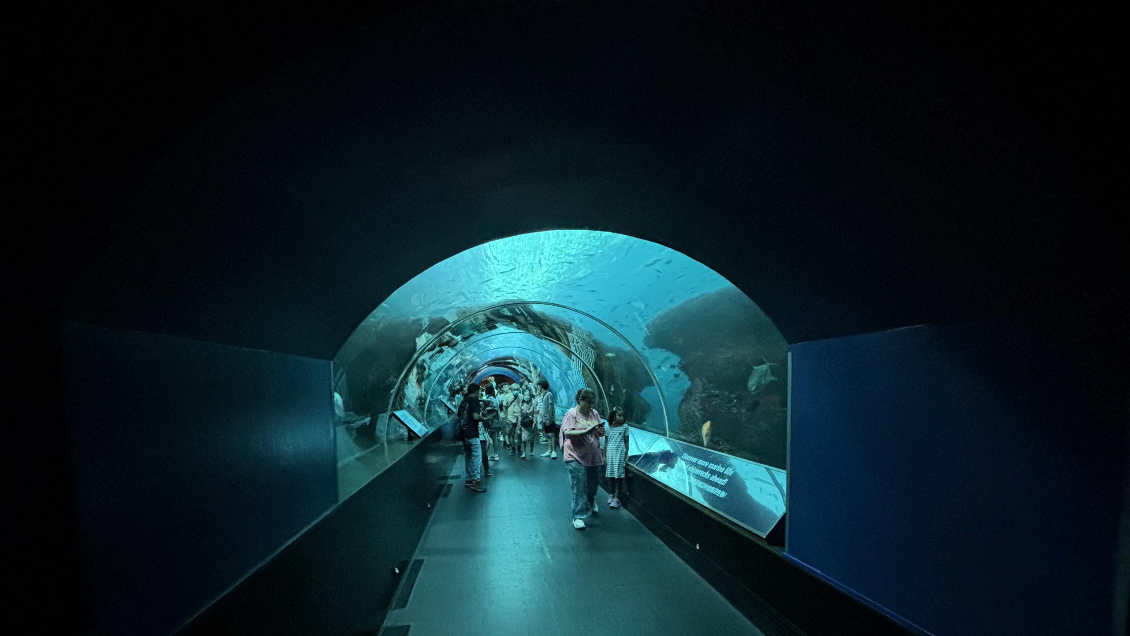 Introductory Tunnel Tank