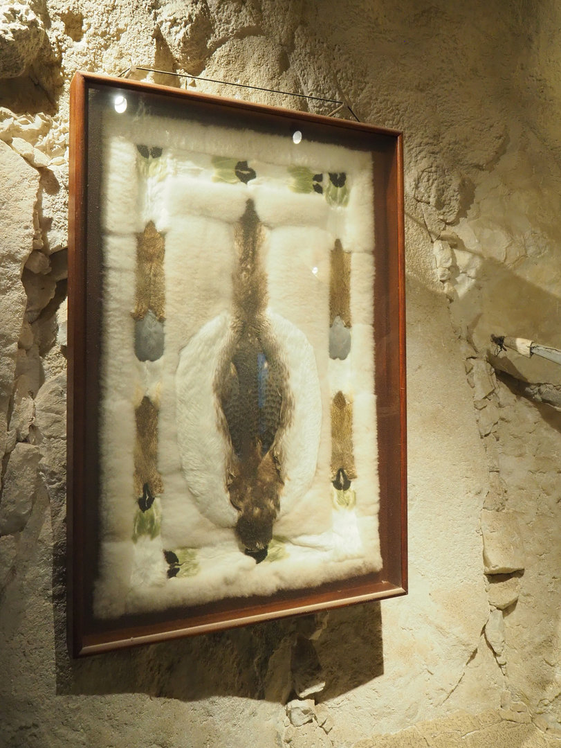 Inuit baby duvet made from seabird skins, 2022-09-14