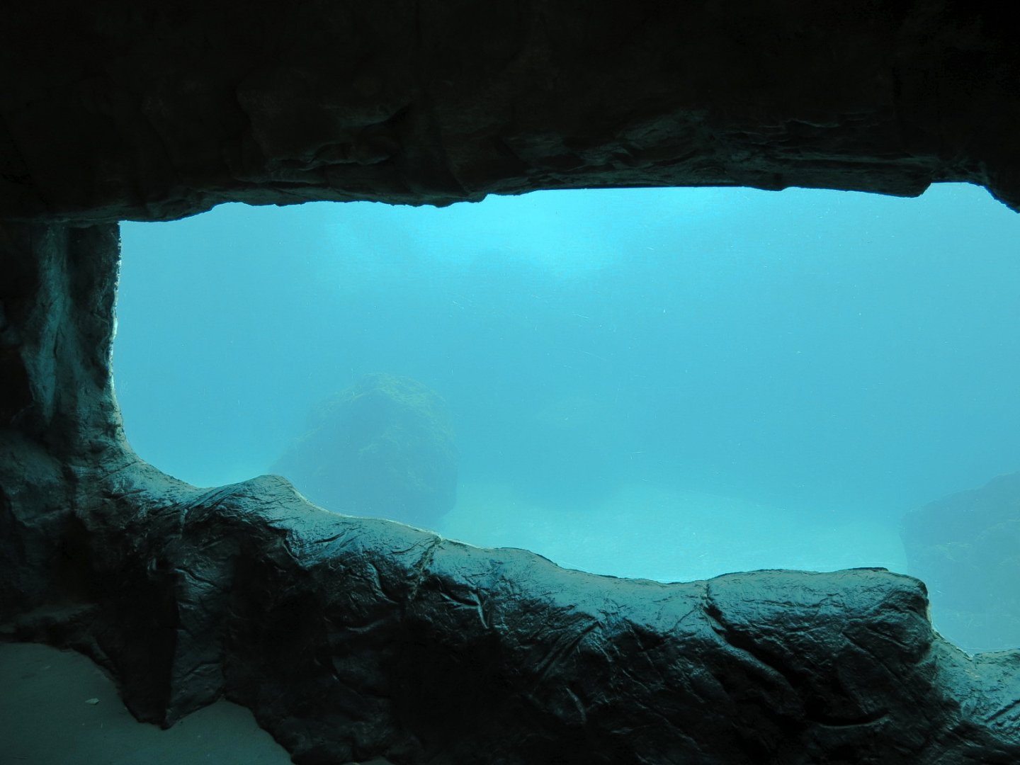 Inukshuk Bay - Cave View of Polar Bear Exhibit Underwater Area