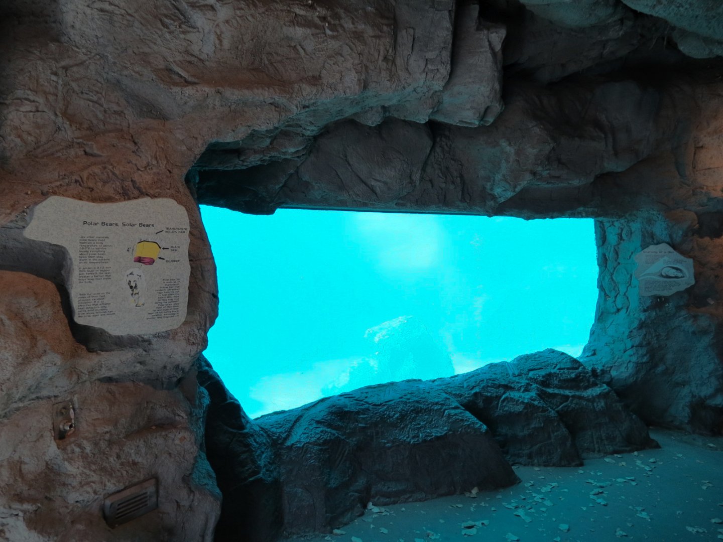 Inukshuk Bay - Cave View of Polar Bear Exhibit Underwater Area