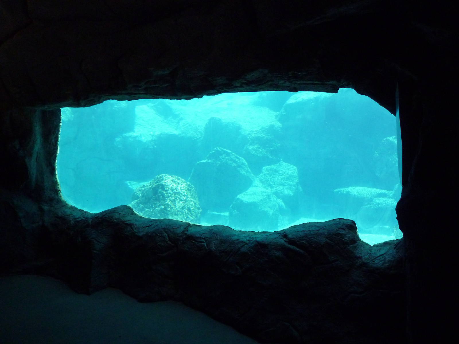 Inukshuk Bay - Polar Bear Exhibit