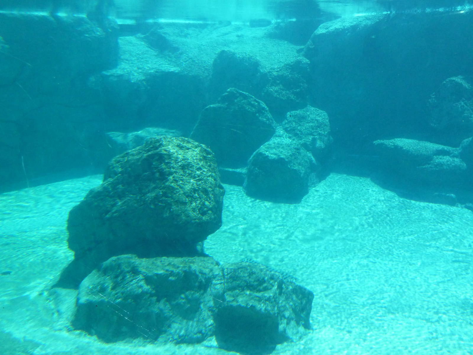 Inukshuk Bay - Polar Bear Exhibit