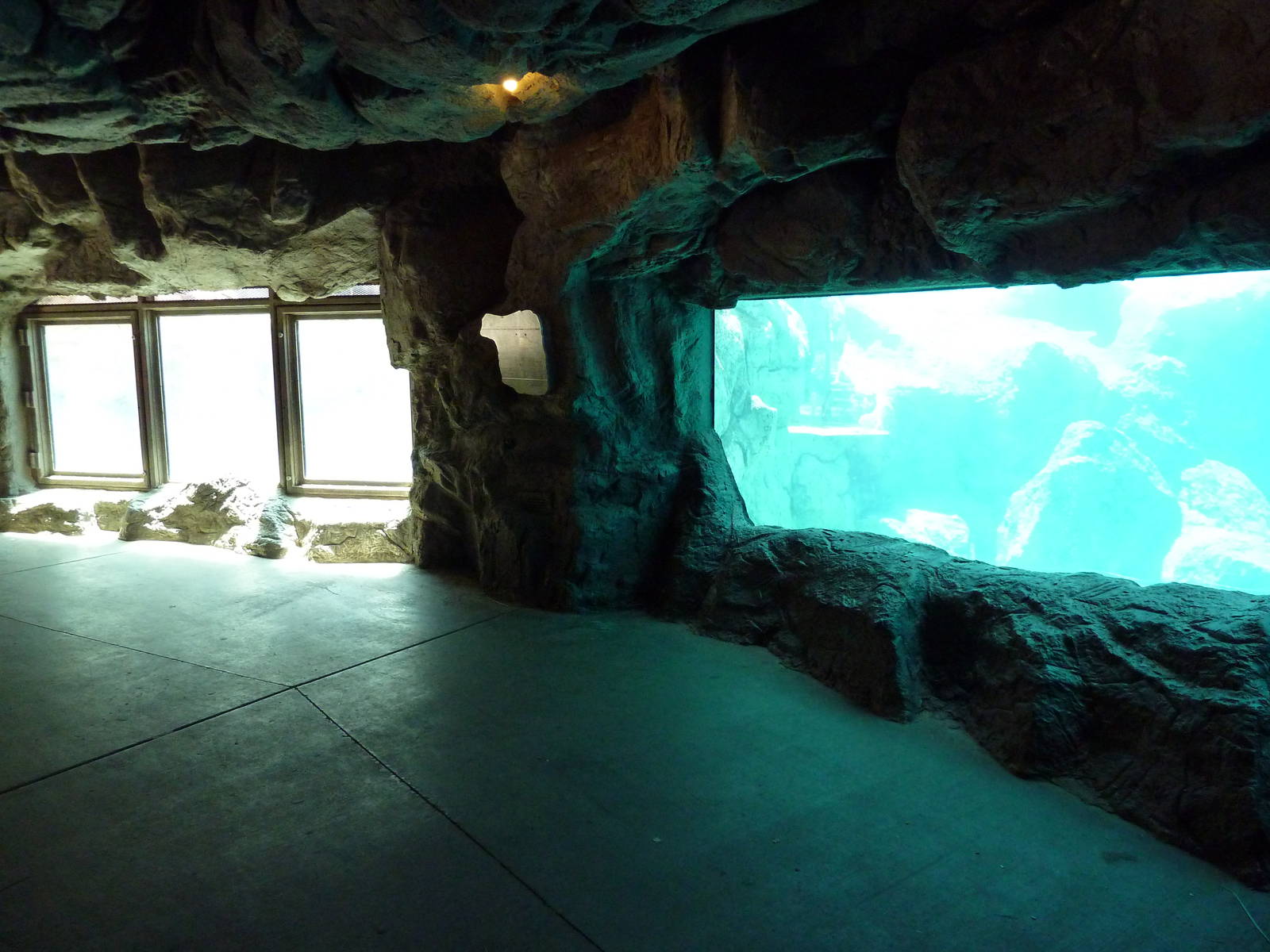 Inukshuk Bay - Polar Bear Exhibit