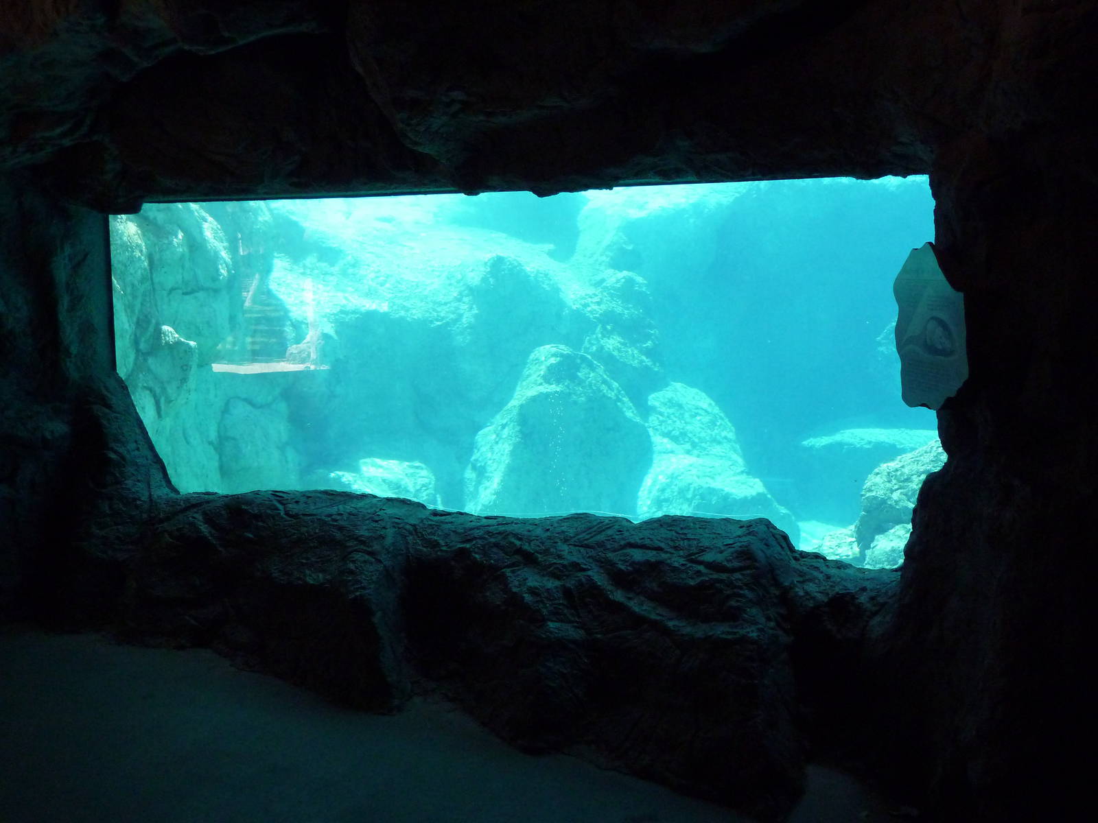 Inukshuk Bay - Polar Bear Exhibit