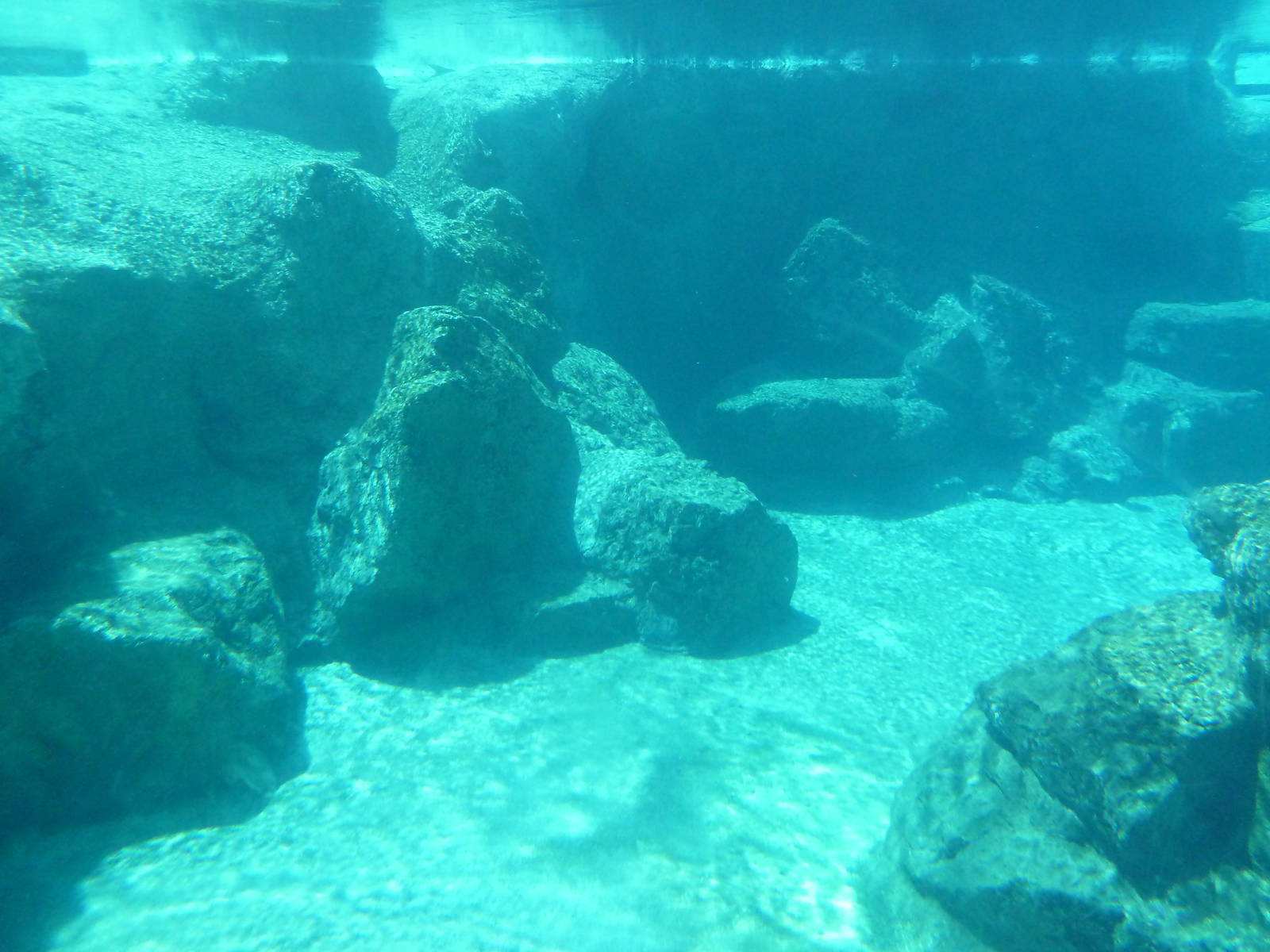 Inukshuk Bay - Polar Bear Exhibit