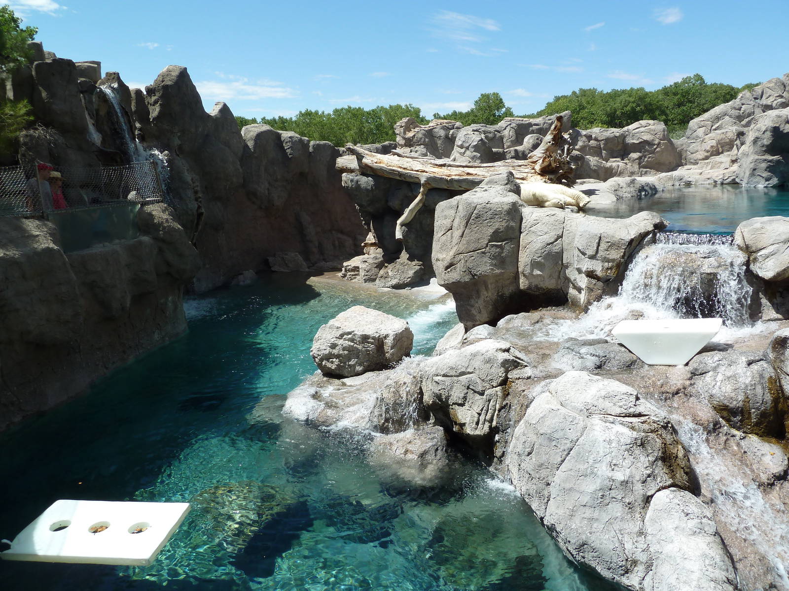 Inukshuk Bay - Polar Bear Exhibit