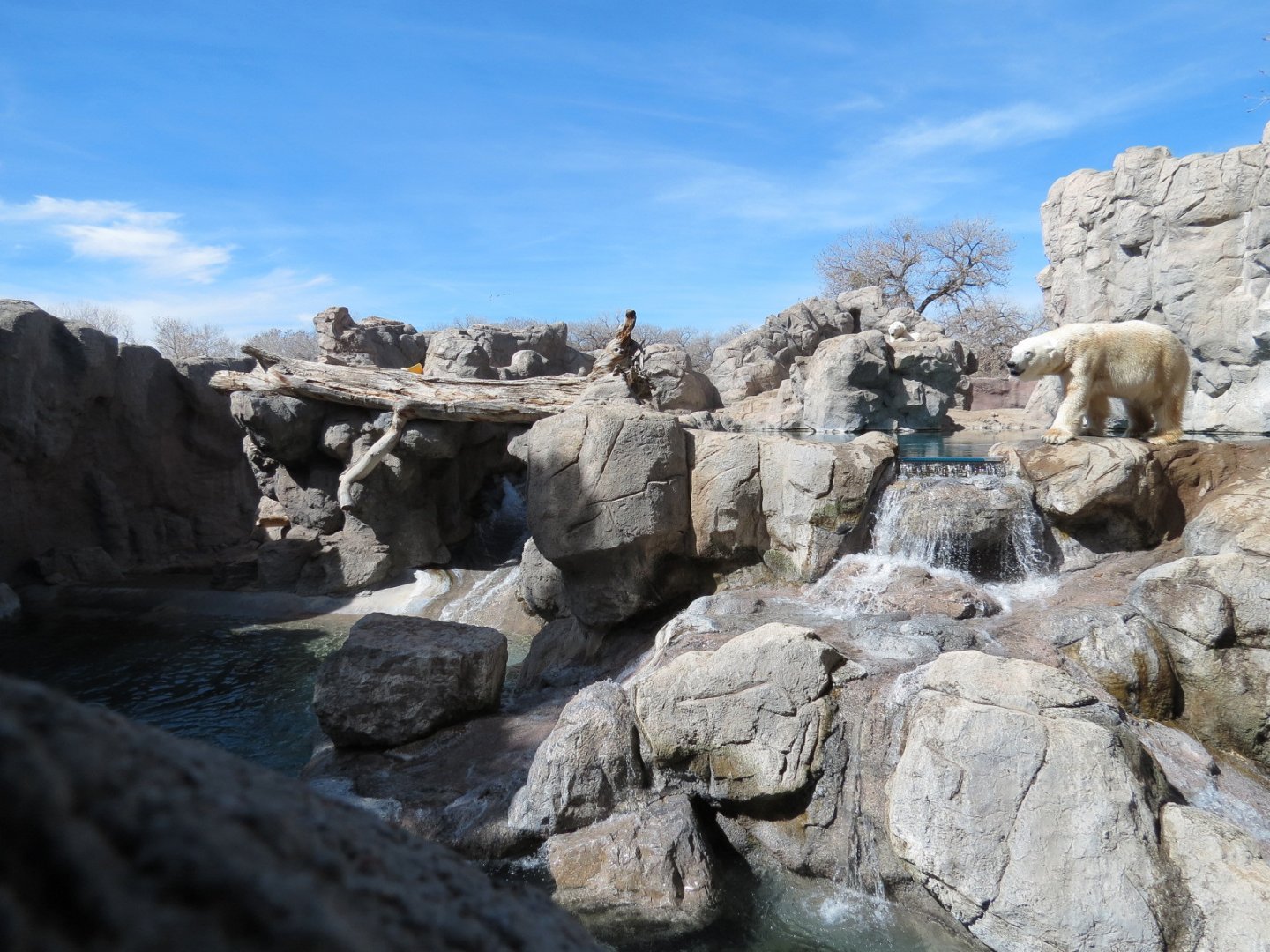 Inukshuk Bay - Polar Bear Exhibit