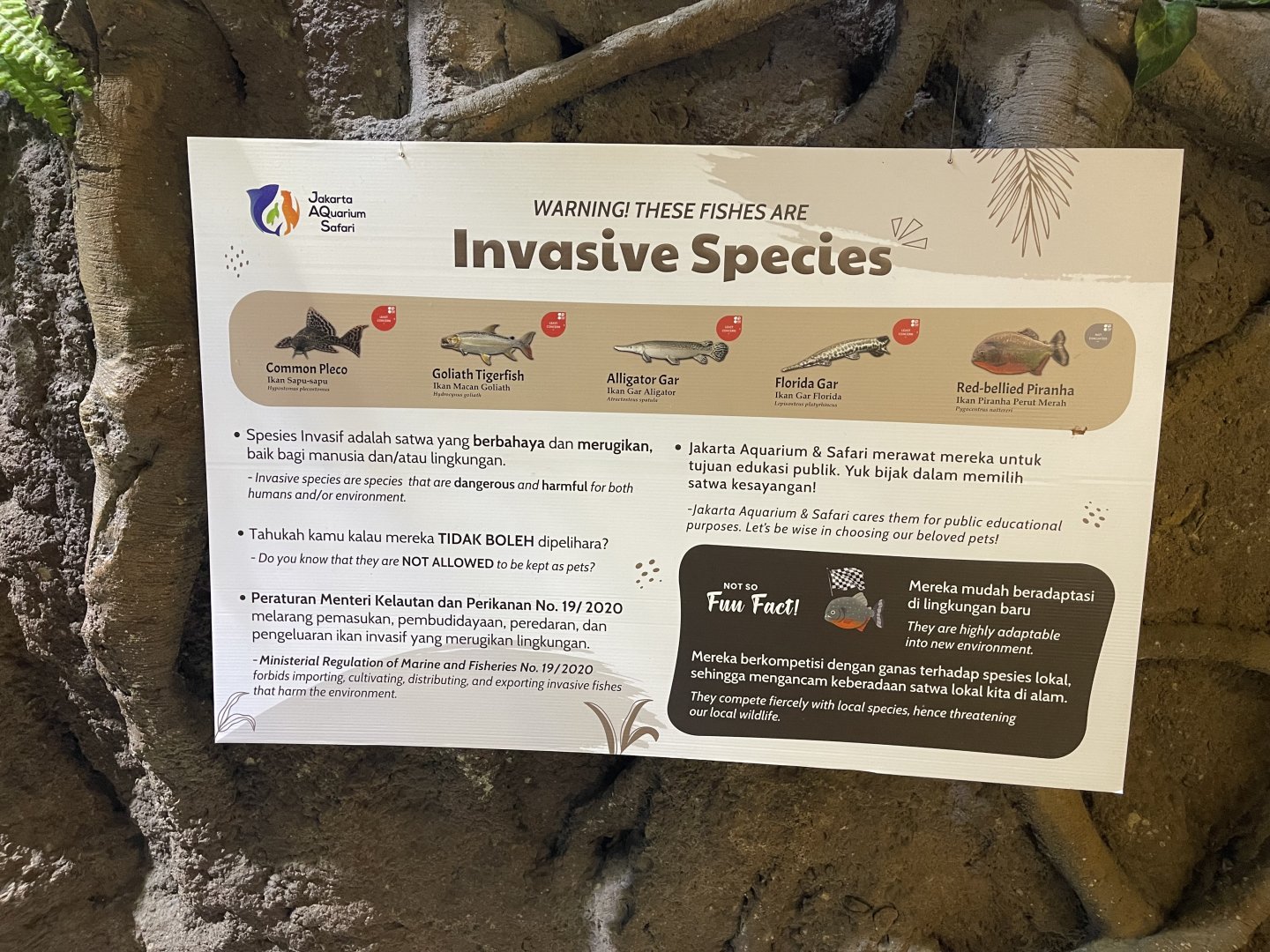 invasive fishes signage