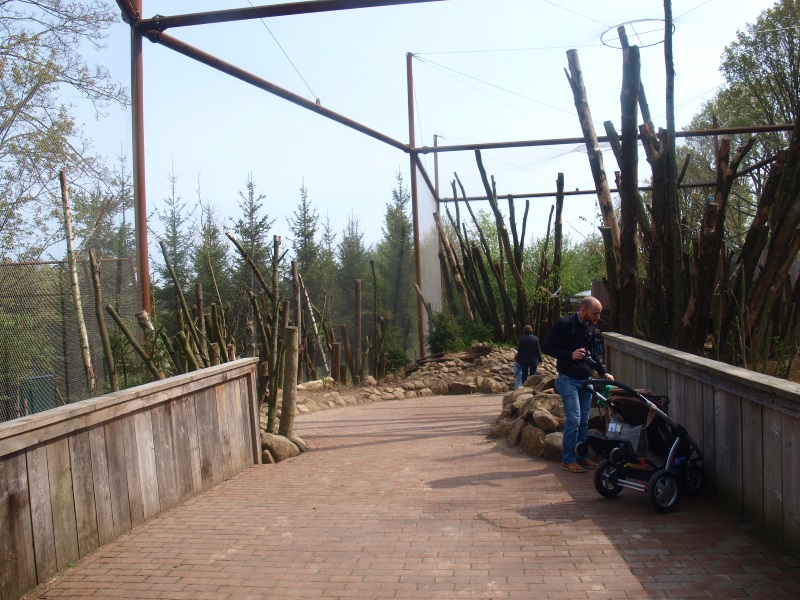 Invasive species aviary (May 2nd, 2015)