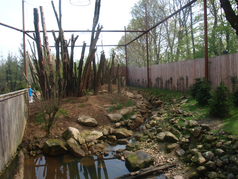 Invasive species aviary (May 2nd, 2015)