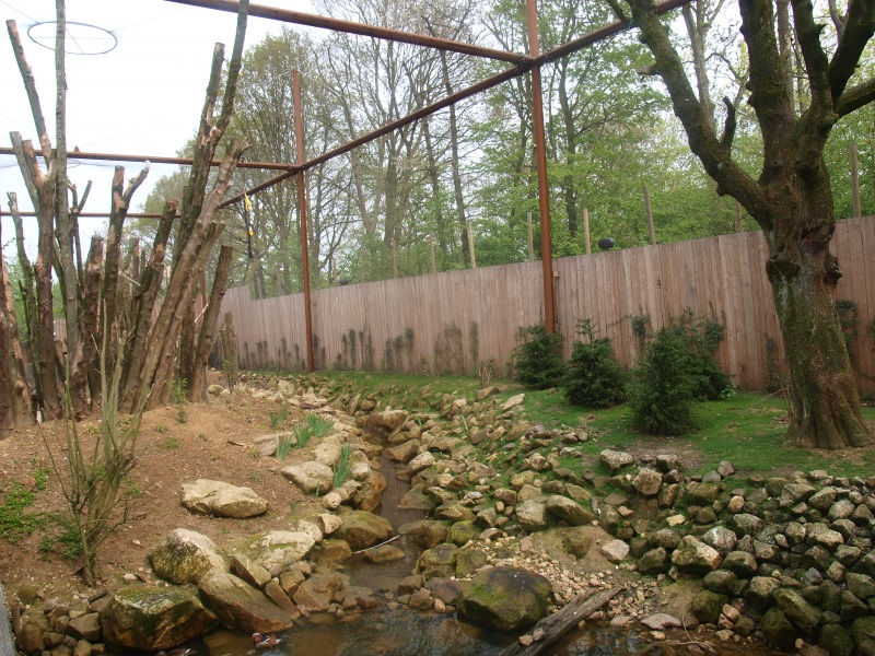 Invasive species aviary (May 2nd, 2015)