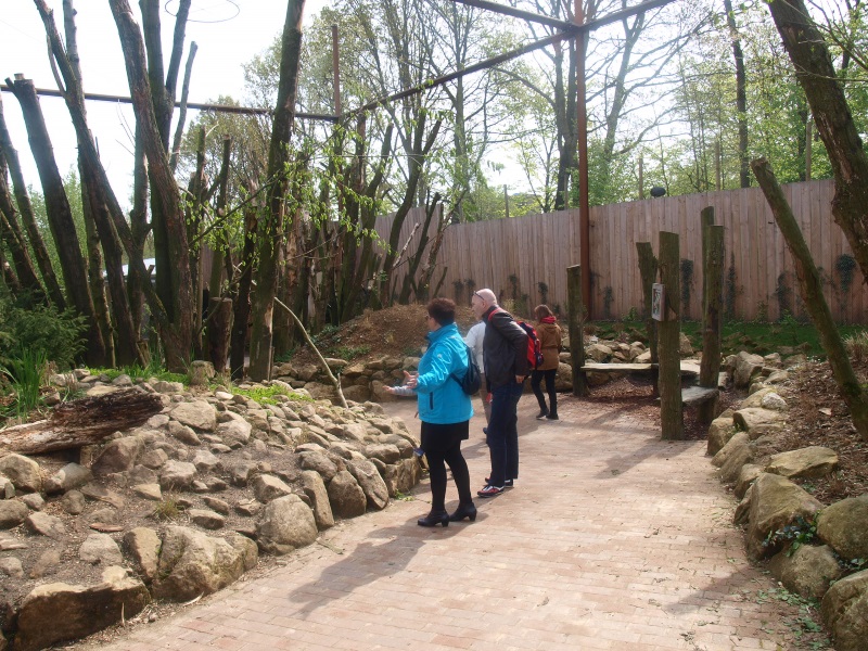 Invasive species aviary (May 2nd, 2015)