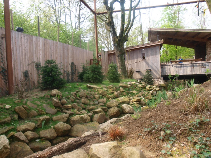 Invasive species aviary (May 2nd, 2015)