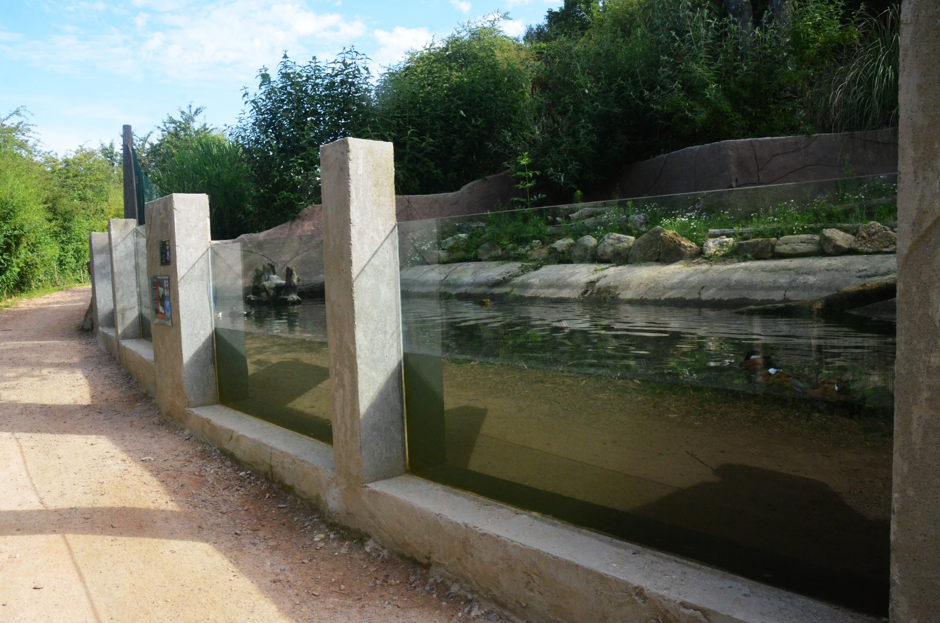 Invasive Species Enclosure at Biotropica, 16/06/18