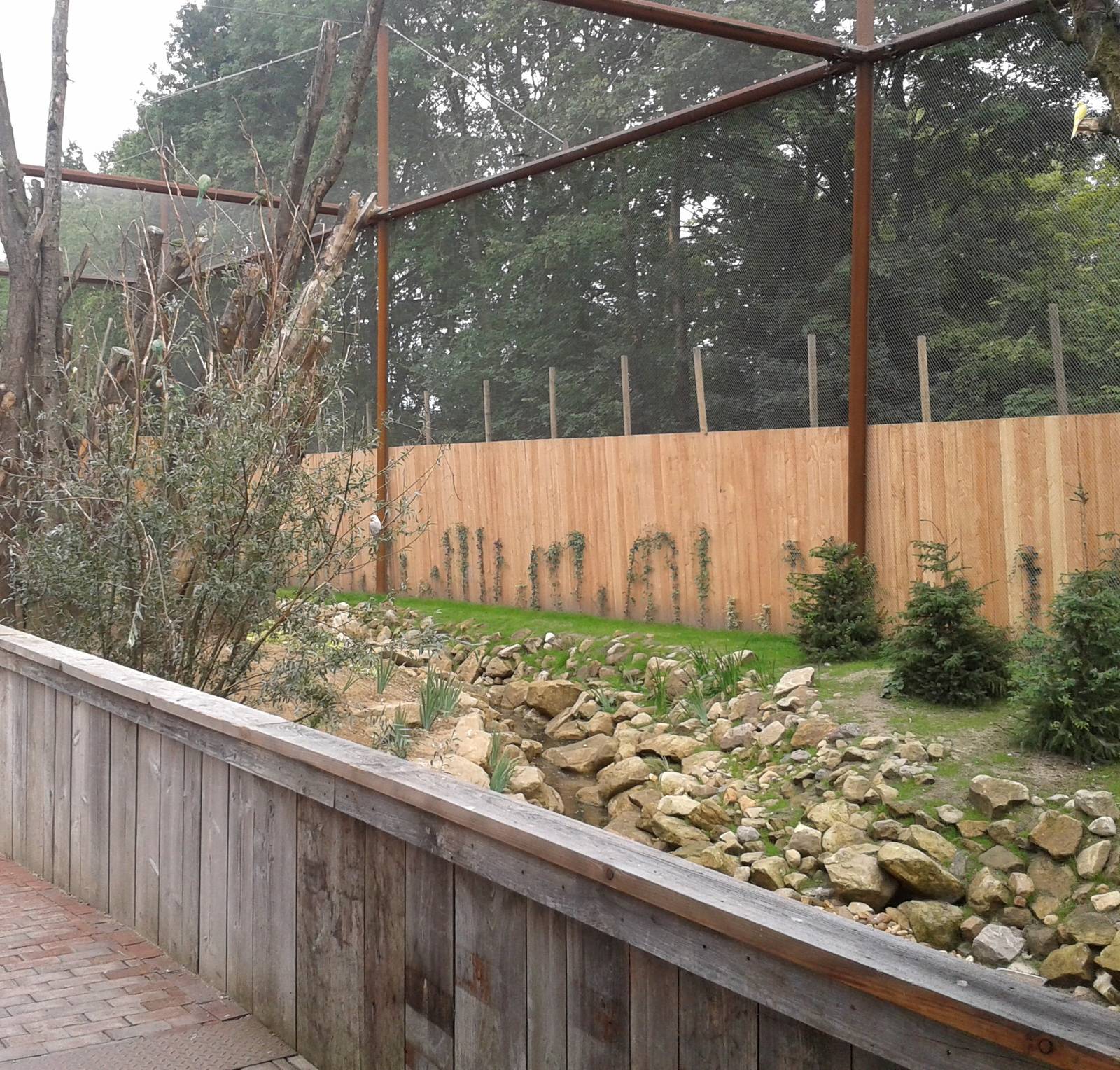 Invasive species enclosure