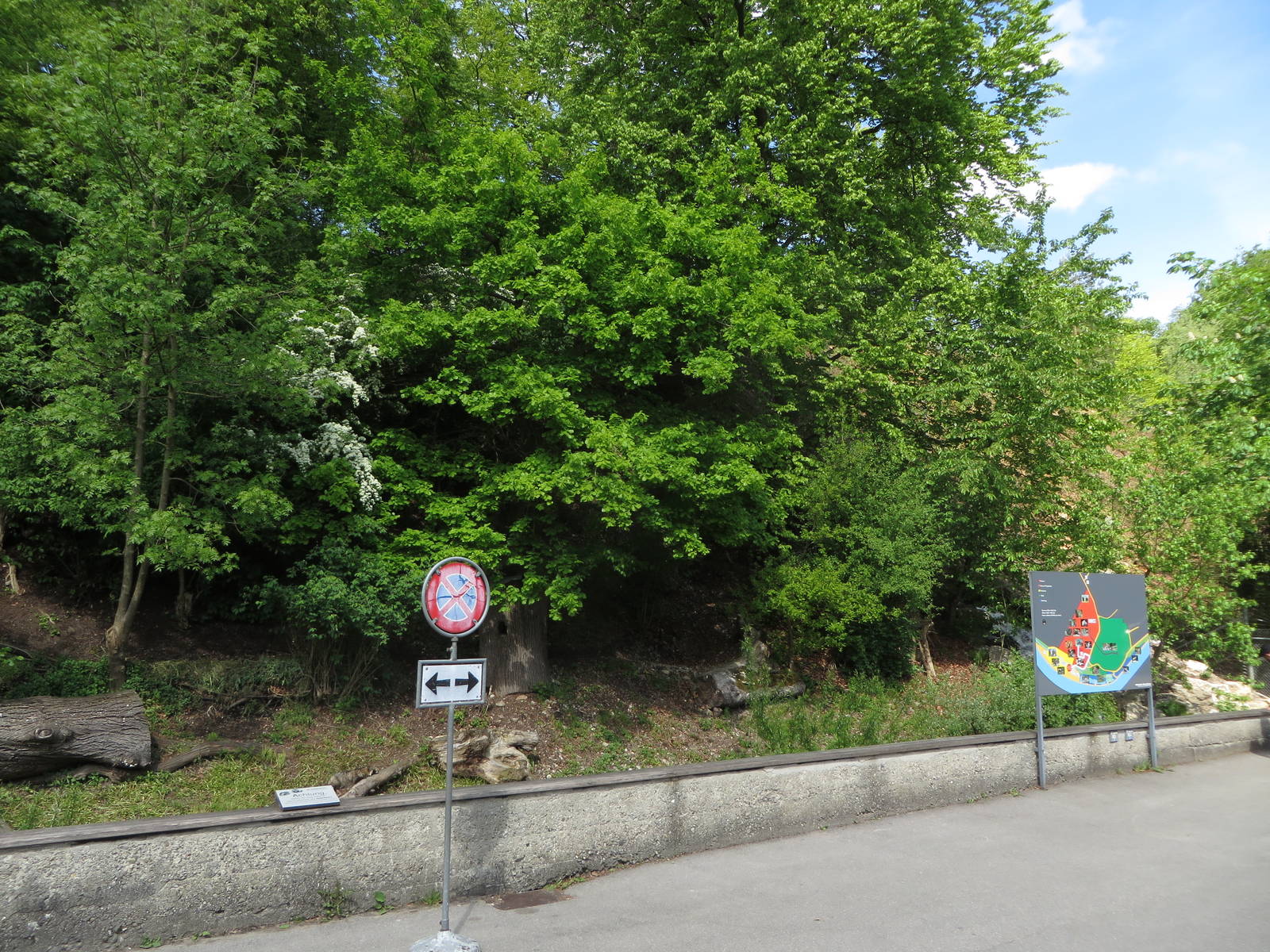 Invasive species enclosure