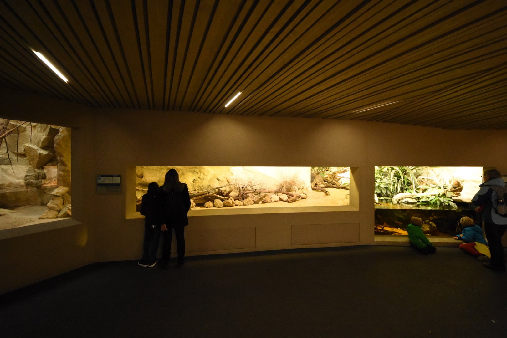 Invasive species enclosure