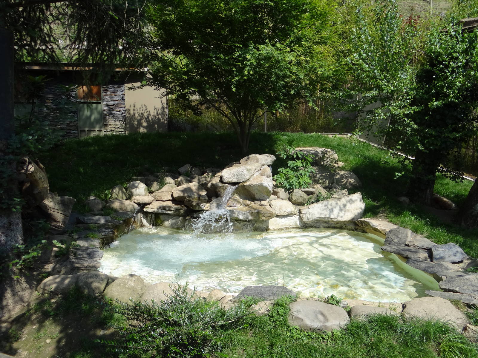 Invasive species exhibit