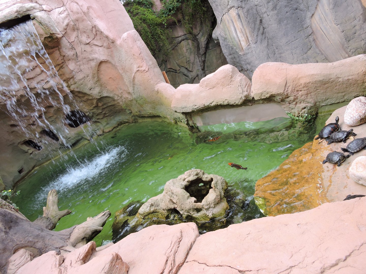 Invasive Species Exhibit