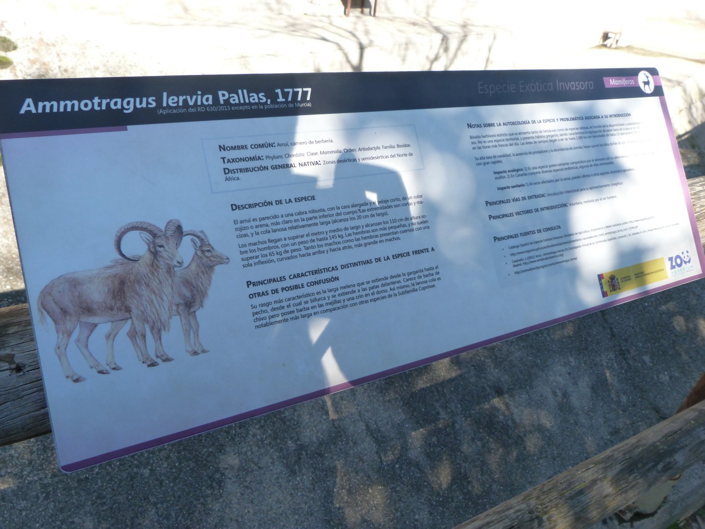 Invasive species sign -Zoo Aquarium de Madrid (2025)