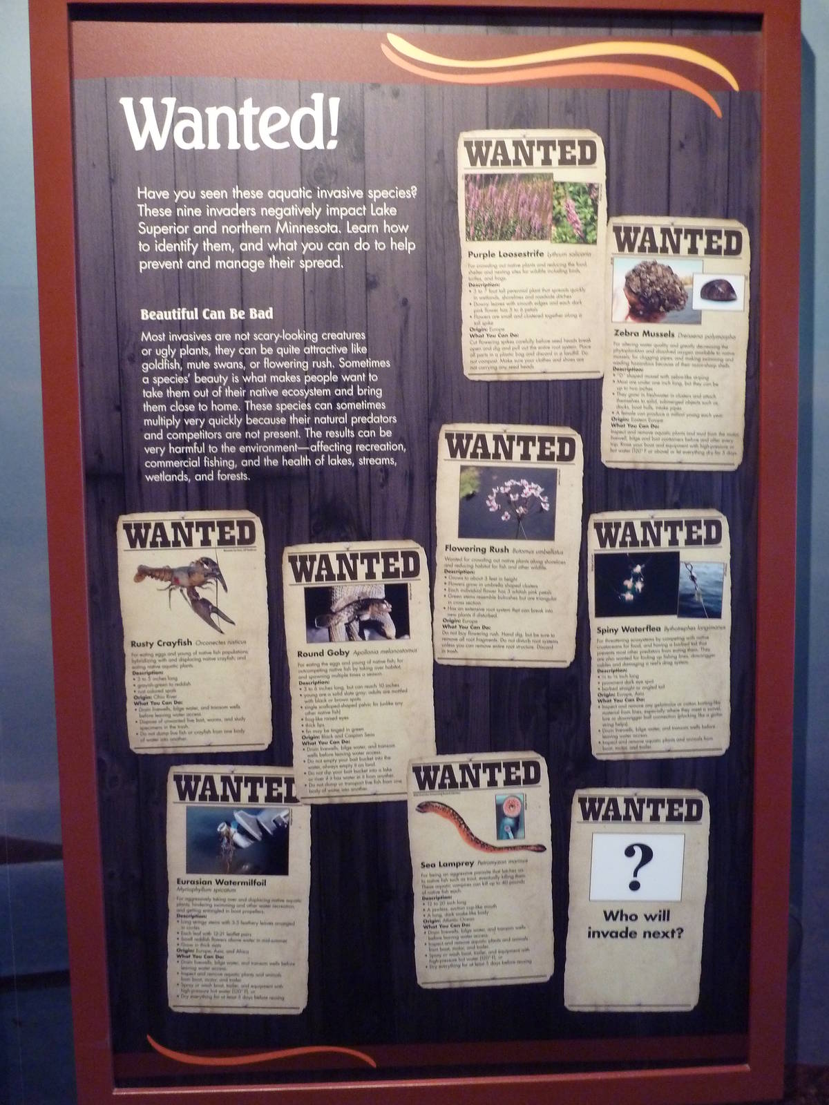 Invasive Species Sign